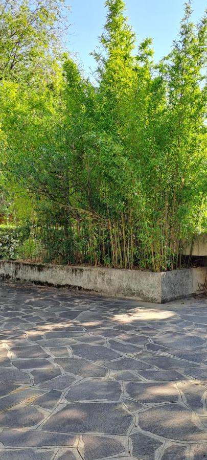 Baroka House Venice * Mestre